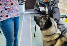 Non Stop Deschis Pitesti Gemma Animal Care