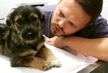 Non Stop Deschis Bucuresti-Sector 6 Cabinet veterinar Sector 6 DREAM VET