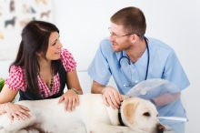 Non Stop Deschis Slatina Cabinet Veterinar Non Stop Slatina