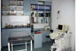 Non Stop Deschis Pitesti Gemma Animal Care